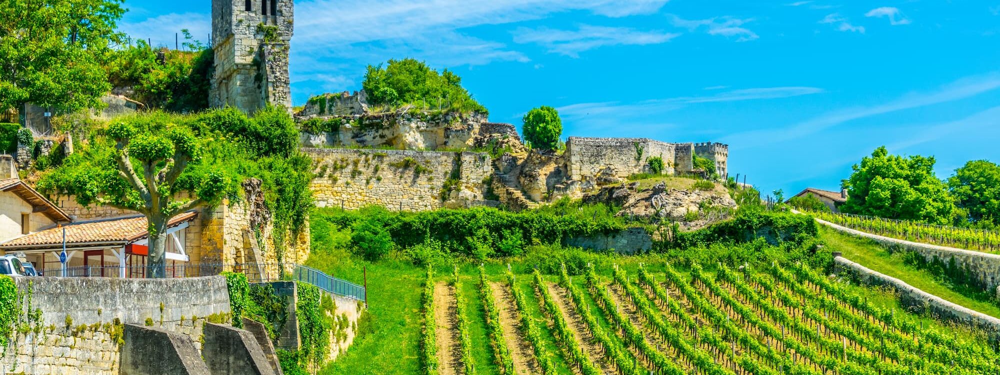 ADOBESTOCK_211027546 2000X750 | ARCHI Sweet Construire ou rénover une maison au cœur d’un vignoble : quelles contraintes architecturales ? Sélestat