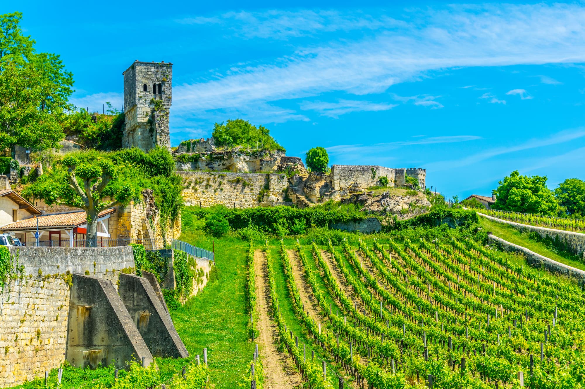 ADOBESTOCK_211027546 | ARCHI Sweet Construire ou rénover une maison au cœur d’un vignoble : quelles contraintes architecturales ? Sélestat