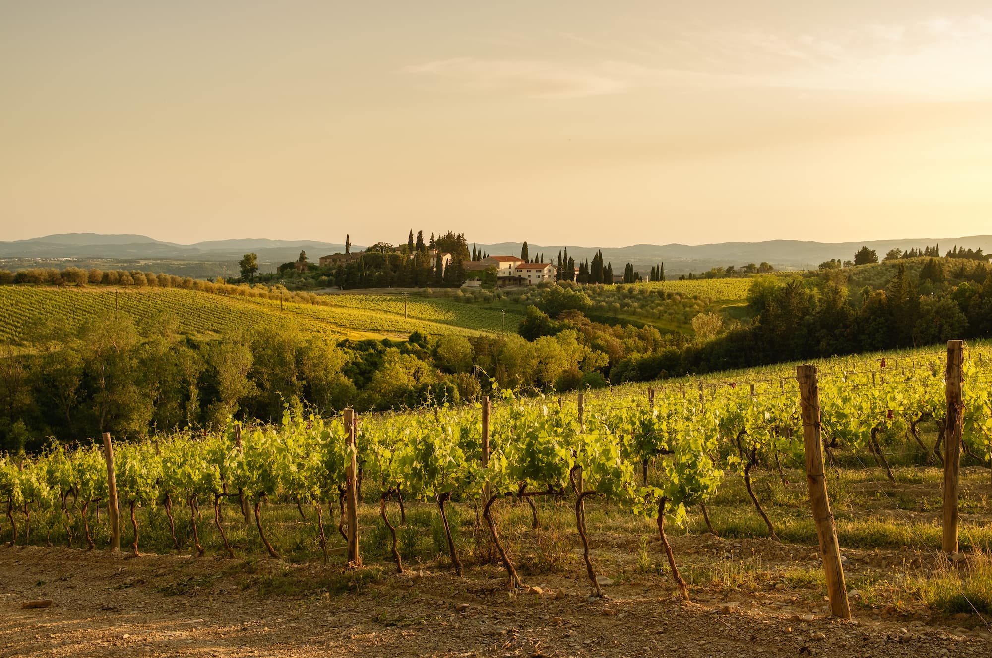ADOBESTOCK_273818494 | ARCHI Sweet Construire ou rénover une maison au cœur d’un vignoble : quelles contraintes architecturales ? Sélestat 0