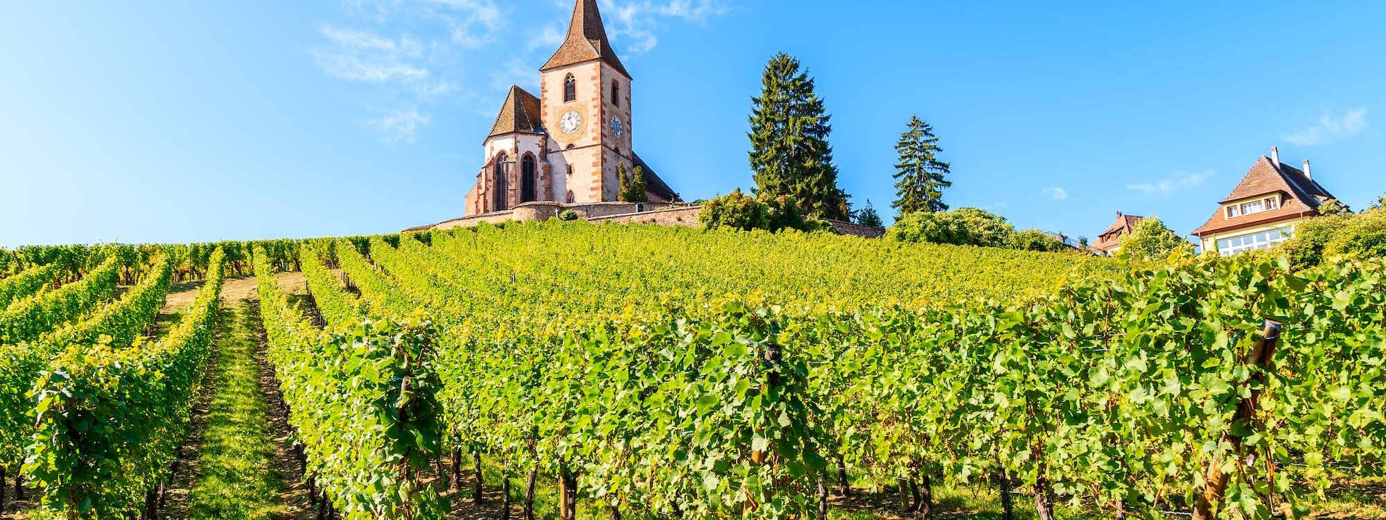 Caves &agrave; vins souterraines : comment les am&eacute;nager pour optimiser l&rsquo;espace ? Colmar