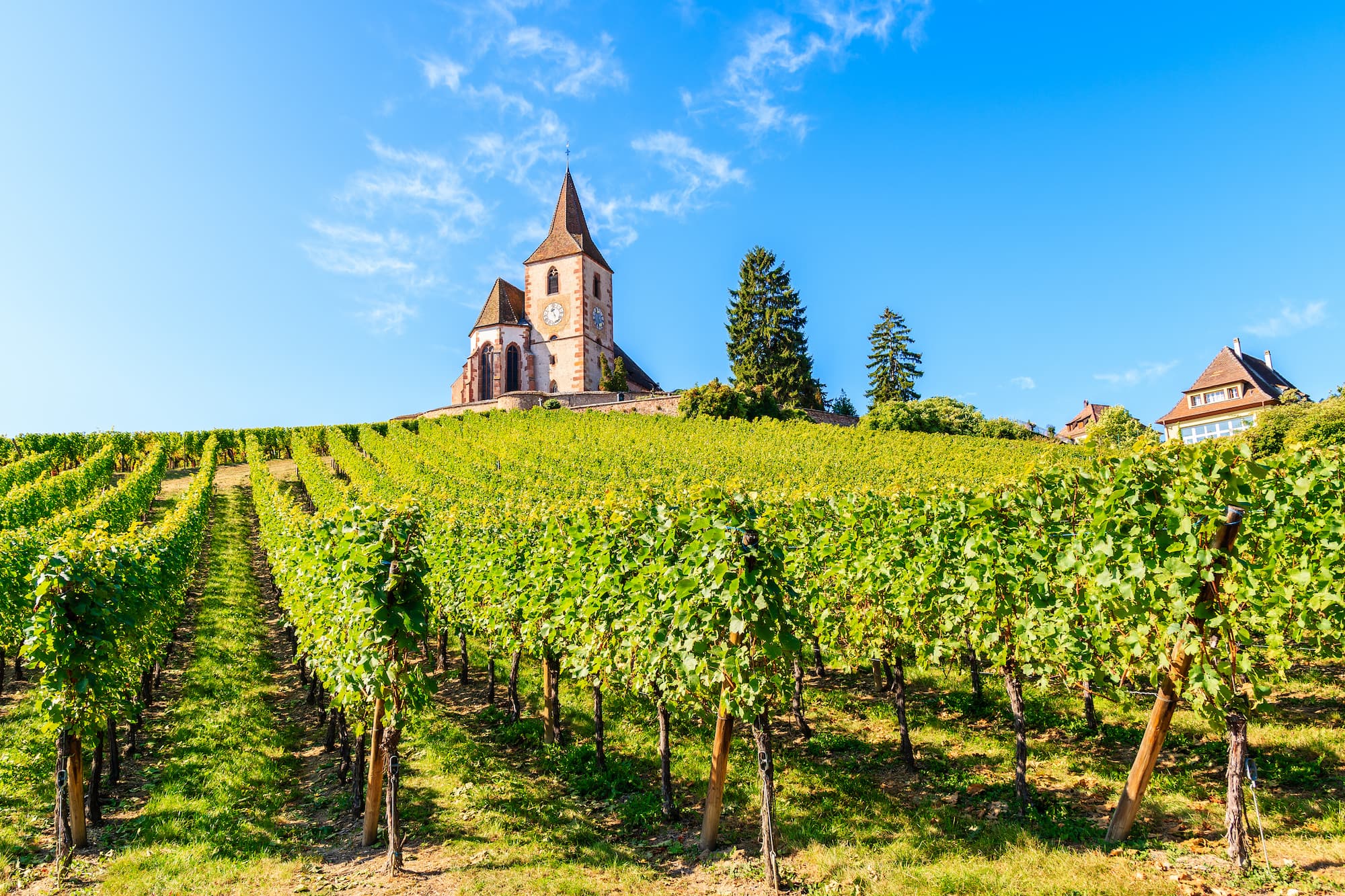 ADOBESTOCK_312784073 | ARCHI Sweet Caves à vins souterraines : comment les aménager pour optimiser l’espace ? Colmar